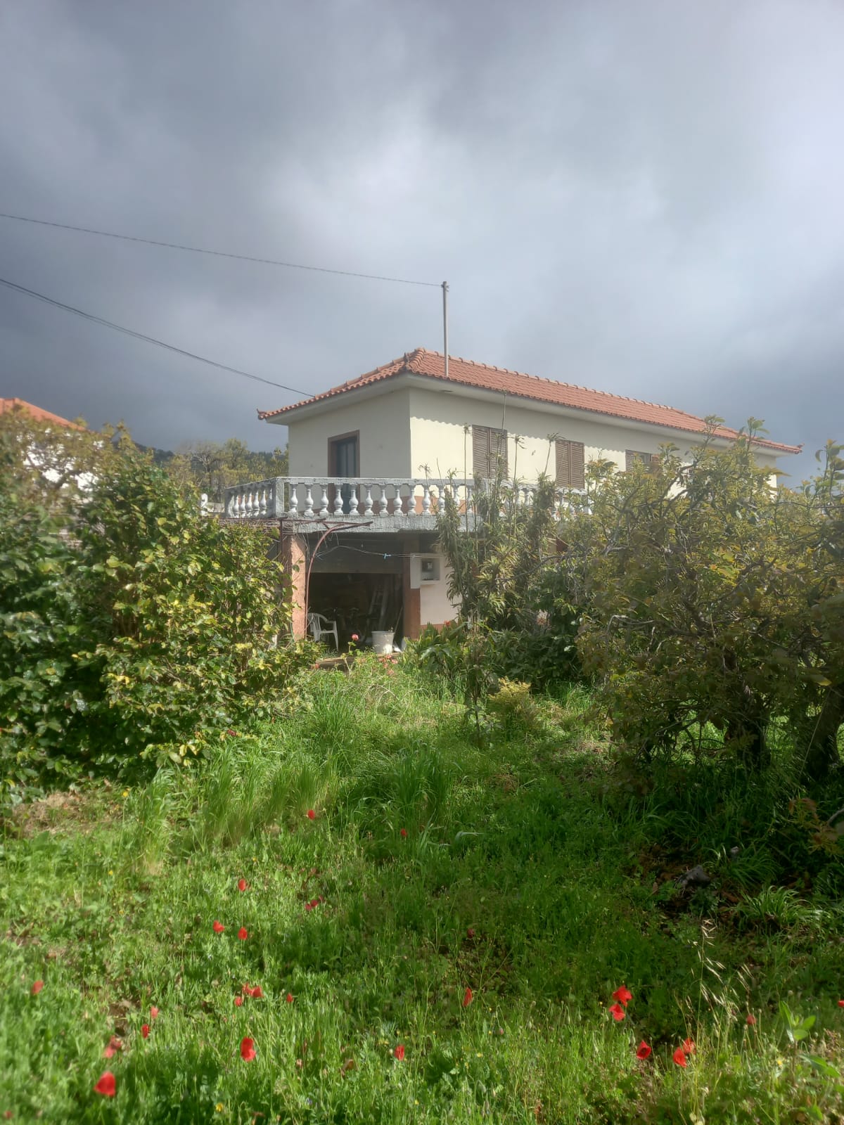 Machico (1)