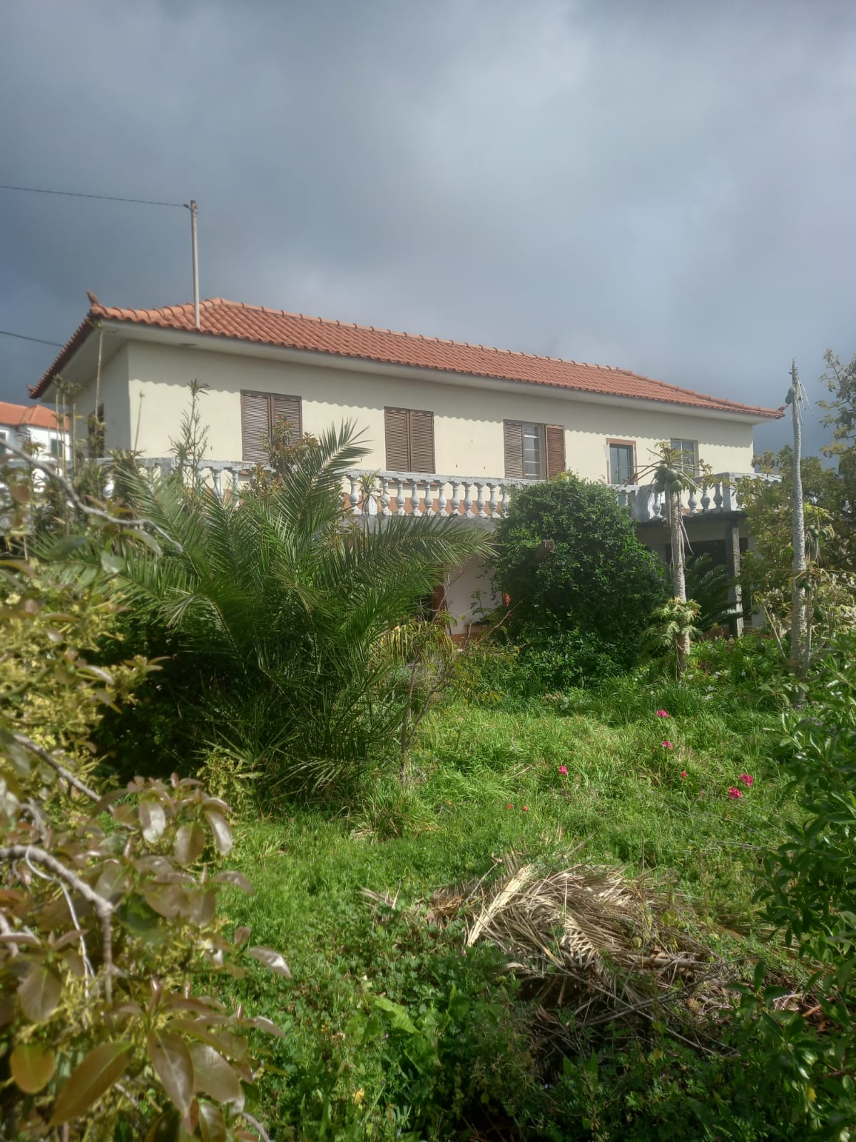 Machico (2)