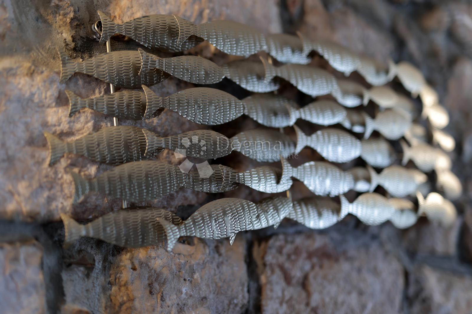 1758109915_f28a2130.jpg